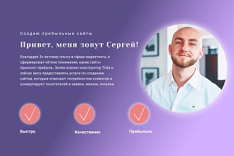 Создам прибыльный сайт на платформе Tilda в сжатые сроки