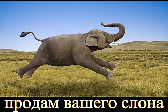 Продающие и коммерческие тексты