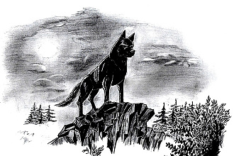 Проиллюстрирую раскраску, книгу