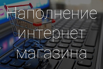Наполню интернет-магазин товаром
