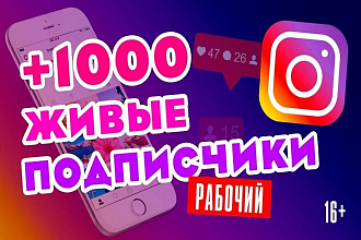 1000 Премиум подписчиков РФ и СНГ в Instagram с активностью