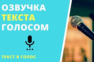 Озвучка профессиональным мужским и женским голосом