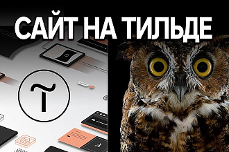 Создам простой и современный лендинг на Тильде