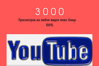Качественные просмотры на Youtube 3000 за три дня