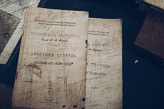 Переведу текст