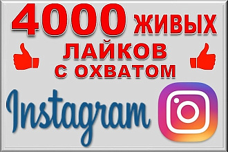 +4000 лайков в Инстаграм. Живые исполнители