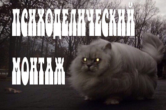 Монтаж видеоролика