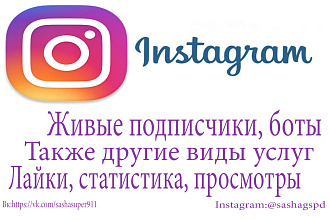 Подписчики Instagram и другие виды услуг