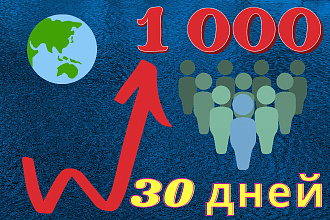 1 000 посетителей на 30 дней