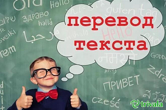 Перевод любого текста с английского в русский язык или наоборот