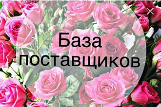 Продам базу поставщиков