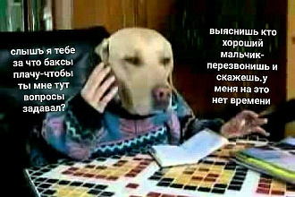 Просмотры на ролики инстаграм
