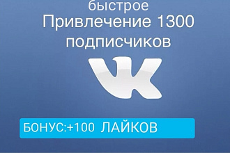 1300 подписчиков в Вконтакте на ваше сообщество или страницу + бонус