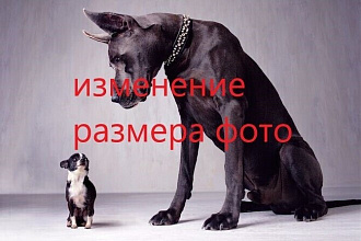 Увеличение или уменьшение размера фото