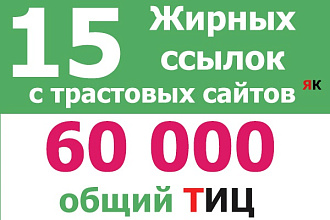 Поставлю 15 вечных жирных ссылок с трастовых сайтов ТИЦ 60 000