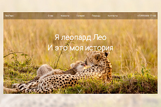 Создам дизайн сайта или страницы