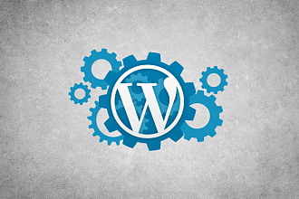 Установлю и настрою сайт или блог на Wordpress