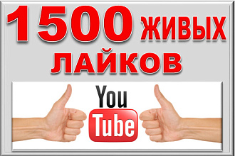 1500 лайков на видео YouTube от людей. Гарантия