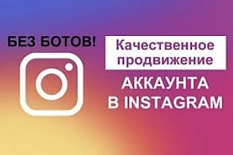 Подписчики Инстаграм