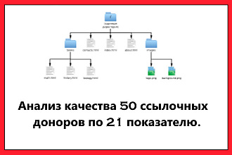Анализ качества ссылок. Полный отчет по 50 ссылкам, 21 показатель