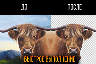 Удаление фона с с изображений и фото