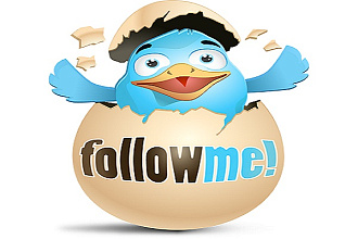 Живые фолловеры в Twitter