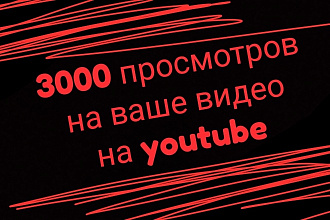 3000 просмотров с удержанием на ваше видео