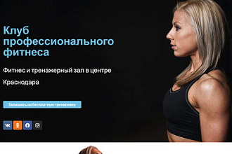 Лендинг на CMS WordPress + Elementor