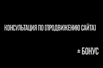 Консультация по [Продвижению сайта] + Бонус