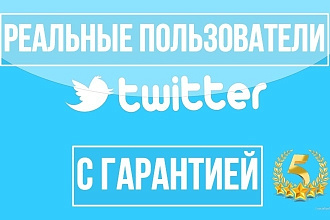 700 фолловеров с гарантией в Twitter