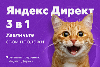 Экспертная настройка Яндекс Директ 3 в 1. Поиск, РСЯ и Ретаргетинг
