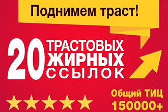 20 ссылок с трастовых сайтов. Общий ТИЦ 155 000+