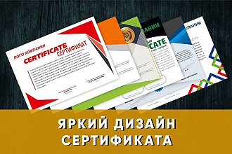 Яркий дизайн сертификата