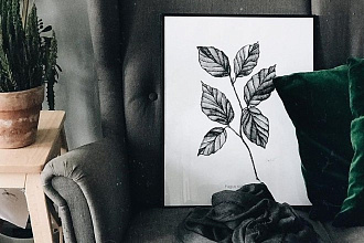 Иллюстрации black and white