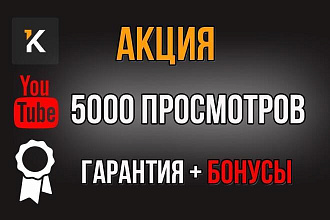 5000 просмотров YouTube для одного ролика