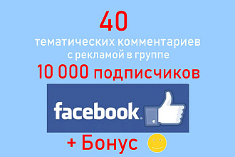 Оставлю 40 качественных тематических комментариев Facebook + подарок