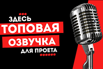 Озвучка для вашего проекта