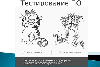 Тестирование ПО