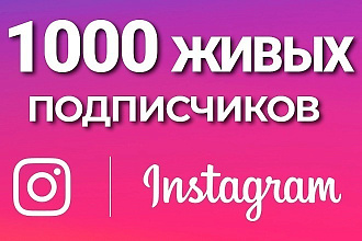 Подписчики в instagram