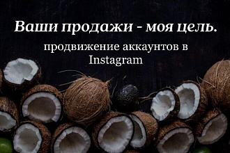 Ведение профиля в Инстаграм
