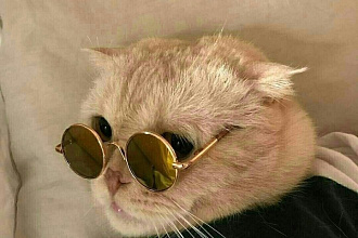 Напишу уникальный и интересный пост для Instagram