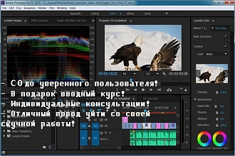 Обучение видео монтажу с 0