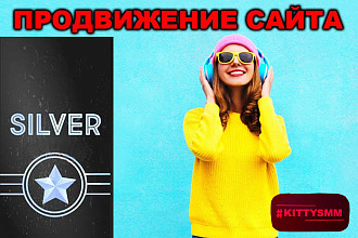 Продвижение сайта 1 запрос с соц. постами в Яндексе