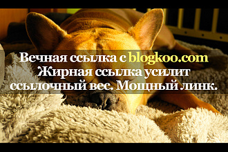 Уникальная ссылка с сайта blogkoo.com