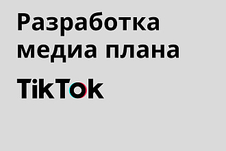 Разработка медиа плана, сценариев видео для вашего Тик Тока