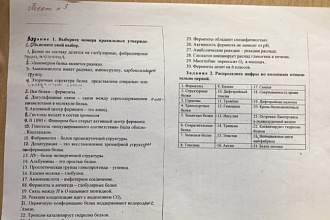 Перевод текстов