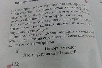 Напишу перевод текста с русского на английский или наоборот
