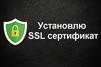 Установлю SSL сертификат для https