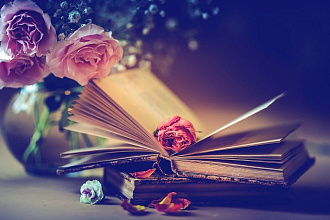 Помогу развить сюжет в книге, рассказе или главе