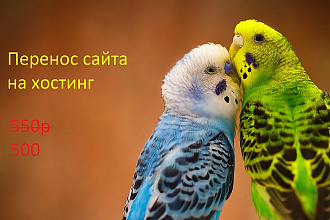 Перенесу ваш сайт на другой хостинг